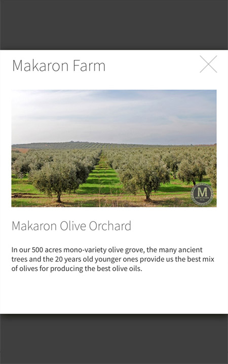 Makaron Mobile UI Design