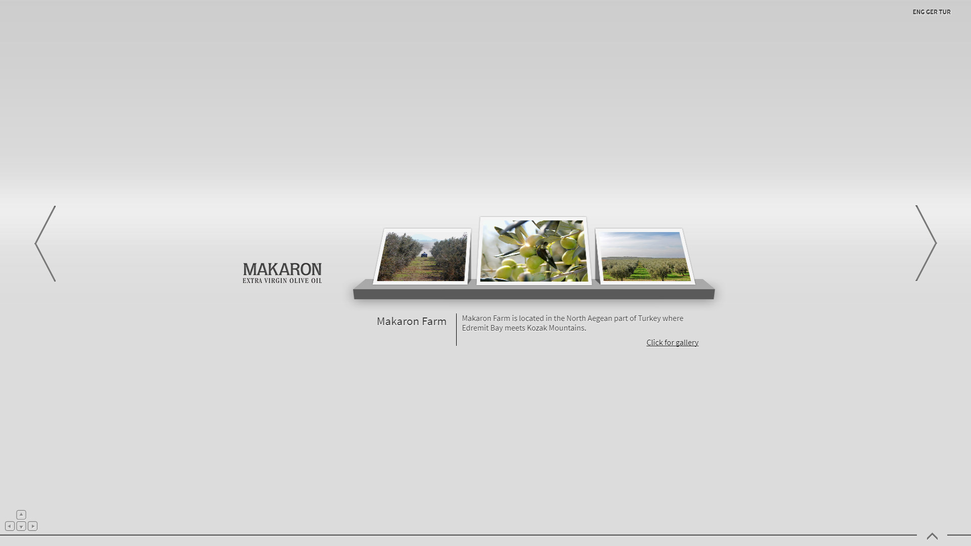 Makaron UI Web Design